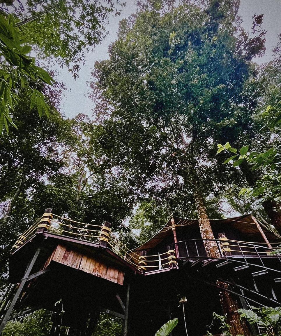 Lannawild Hotel Chiang Mai Værelse billede