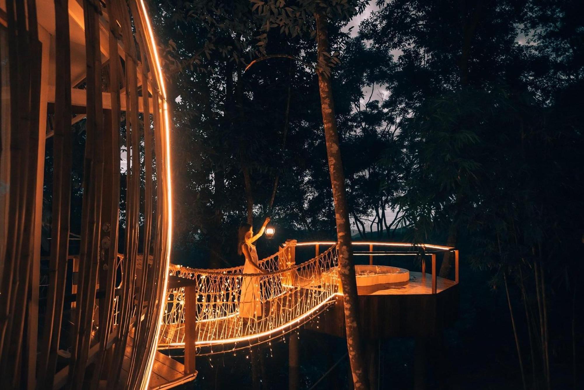 Lannawild Hotel Chiang Mai Værelse billede
