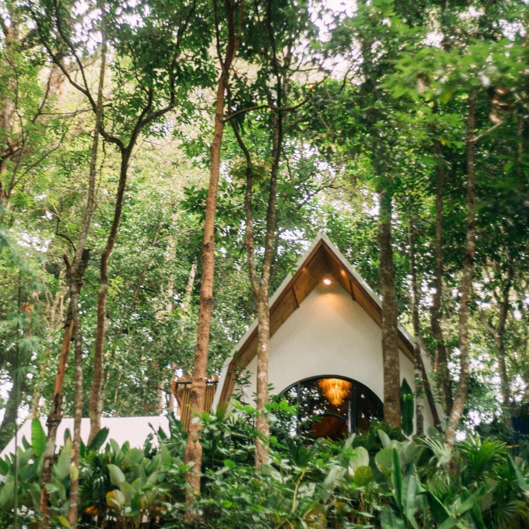 Lannawild Hotel Chiang Mai Værelse billede